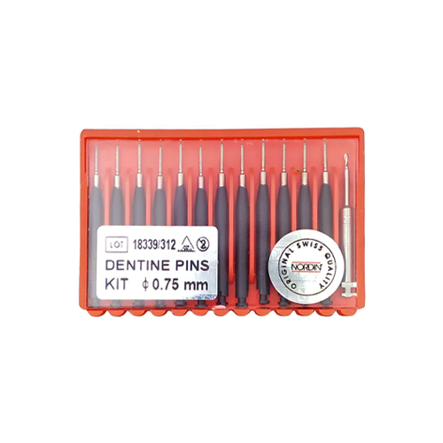 Titanium-Dentine-Retention-Pins-–-Parapulpar-ştift