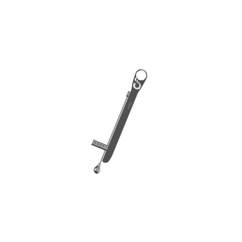 Torque ratchet for prosthetic screws